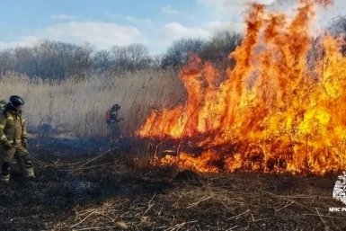 Горящий сухой камыш на пяти гектарах у жилых домов пушат в Ставрополе пресс-служба ГУ МЧС Ставрополья