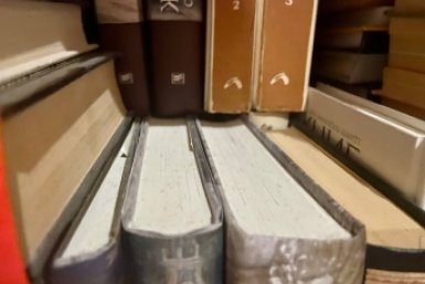 Эти даты с легкостью вспомнит любой школьник, а вам слабо? - ТЕСТ по истории ИА Stavropol.Media