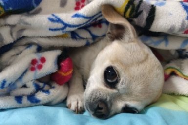 20 улиц и 7 соцобъектов остались без тепла и горячей воды в Кисловодске ИА Stavropol.Media