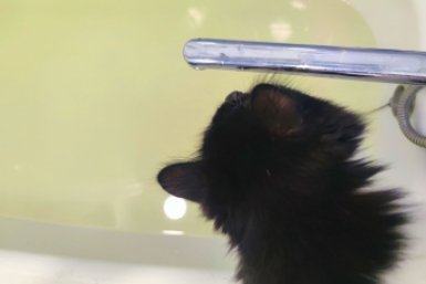 В Кисловодске вновь перебои с подачей воды и тепла ИА Stavropol.Media