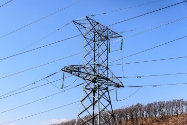 Тысячи оранжевых &quotзонтиков&quot для защиты птиц установят на ЛЭП Ставрополья Евгений  Кулешов, ИА PrimaMedia.ru