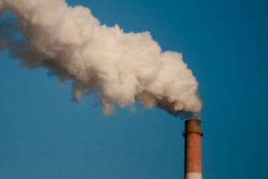  Нефтегазовую компанию на Ставрополье оштрафовали за вред экологии Илья Табаченко, ИА PrimaMedia