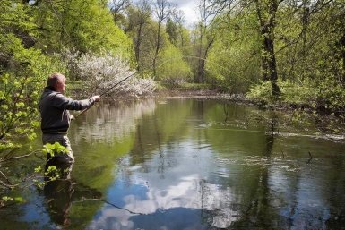 Соберете мешок рыбы за 10 минут: раскрыты лучшие дни для рыбалки в апреле ИИ Kandinsky (18+)