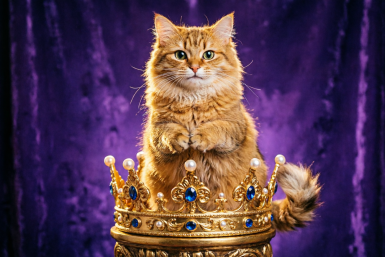 Не кошки, а императрицы: 7 самых вредных пород - даже опытным не советуем ИИ Qwen (18+)