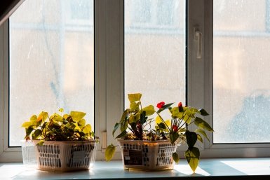 О домах для переселенцев из ветхого жилья рассказал глава минстроя Ставрополья Илья Аверьянов, ИА PrimaMedia.ru