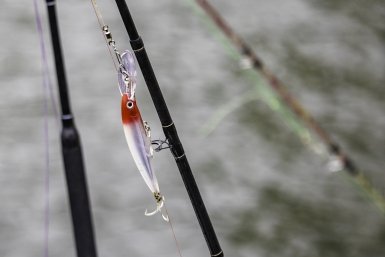 Рыбакам Ставрополья напомнили о продлении запрета на ловлю воблы и плотвы Дмитрий Осипчук, ИА PrimaMedia.ru