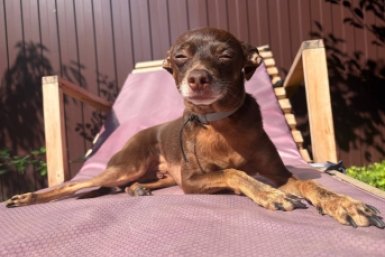 По-весеннему жаркими будут предстоящие дни на Ставрополье ИА Stavropol.Media