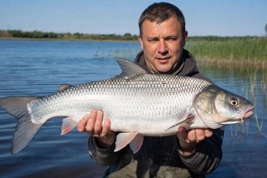 Где сейчас реально клюёт: рыбные места, о которых не говорят вслух Создано при помощи ИИ