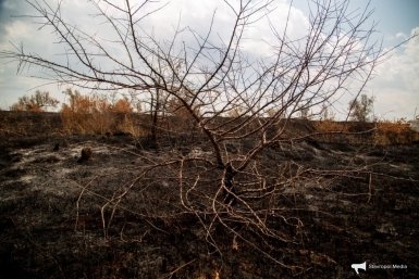 Округа с опасным движением песков и опустыниваем земель назвали на Ставрополье ИА Stavropol.Media