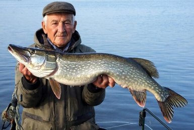 Весна пришла - и щука проснулась: секреты клёва хищницы Создано при помощи ИИ