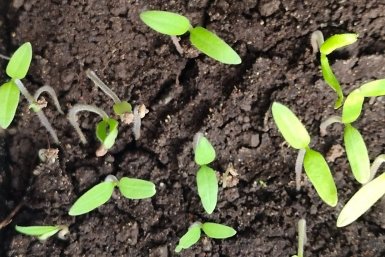 Тематическое фото ИА StavropolMedia