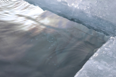 Два дня искали провалившуюся под лёд 9-летнюю девочку Юлия Ушакова, ИА IrkutskMedia