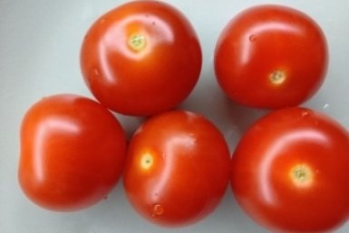 15 капель в воду — и томаты будут здоровыми весь сезон, ни фитофтороза, ни мучнистой росы ИА StavropolMedia