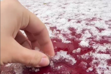 Снег прошёл вечером 7 апреля в Ставрополе Телеграм-канал &quotСтаврополь Тут&quot (18+)