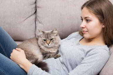 Короли верности: эти 5 пород кошек преданнее, чем Сиба-ину из Хатико Создано при помощи ИИ