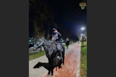 В Кисловодске осудили всадника, избившего плеткой семейную пару пресс-служба прокуратуры Ставрополья