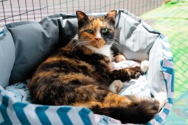 Тематическое фото Евгений Кулешов, ИА PrimaMedia.ru