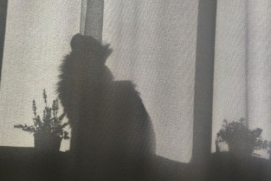 Без света 14 апреля останутся более 40 населенных пунктов на Ставрополье ИА Stavropol.Media