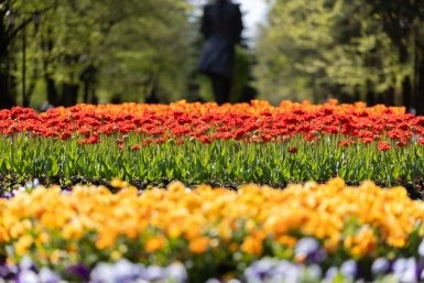 В Ставрополе экскурсии для школьников интегрируют в учебные планы ИА Stavropol.Media