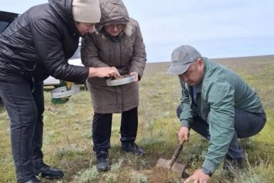 На Ставрополье и в Калмыкии начали совместный мониторинг саранчи