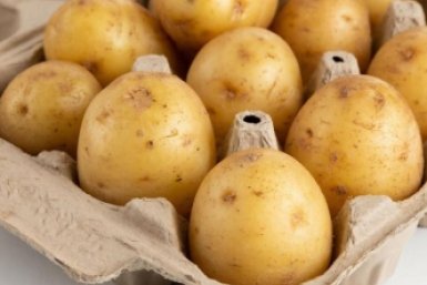 За пару недель до посадки картофеля обязательно выполните 3 процедуры: богатый урожай и крупные клубни обеспечены