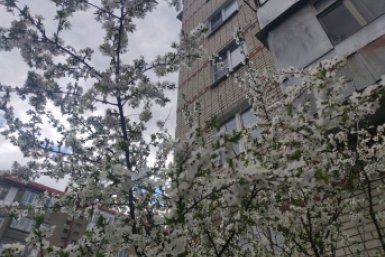 Новость дня