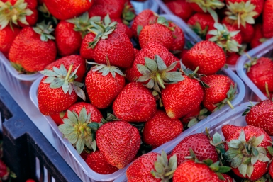 18 кг клубники изъяли у уличных торговцев из "Газели" в центре Ставрополя