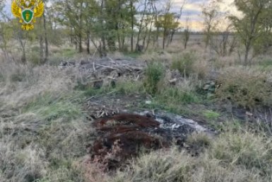 Свалки на землях лесхоза ликвидировали по требованию прокуратуры на Ставрополье