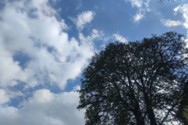 Больше 6 часов действовал режим опасности БПЛА в ночь на субботу на Ставрополье