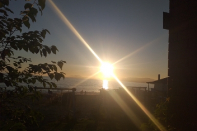 Ваш мозг шпарит, как весеннее солнце, если отвечаете на 7/7 - ТЕСТ