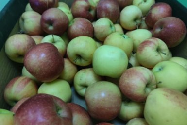 Краевое УФАС нашло скрытую рекламу сока в соцсетях главы Георгиевского округа