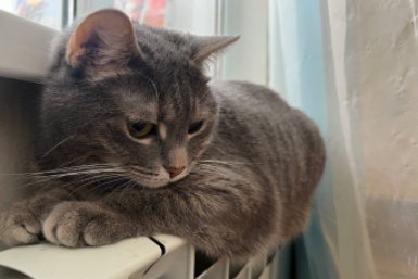 Когда отключат отопление в Ставрополе — ответ мэрии