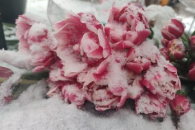 Мокрый снег и ветер до 18 м/с: на Ставрополье прогнозируют резкую смену погоды