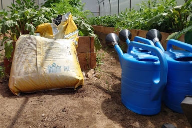 Компост убийца: что нельзя класть в кучу, если не хотите потерять урожай