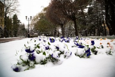 Нетающего снега летом в России не будет Артём Хорошилов  , ИА Stavropol.Media