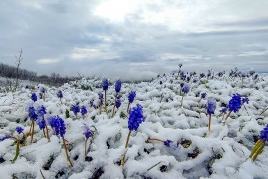 Зима вернулась: снег выпал на Ставрополье