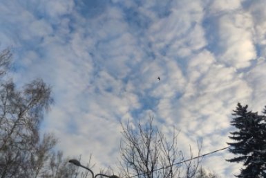 Беспилотную опасность объявили днём 23 апреля на Ставрополье ИА Stavropol.Media