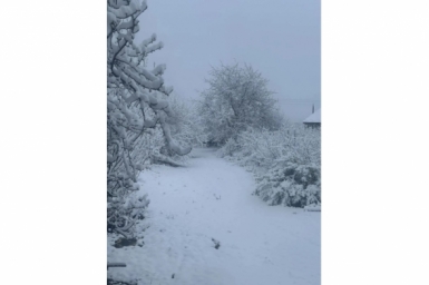 Снежная зима накрыла Предгорье 23 апреля на Ставрополье Соцсети главы Предгорья Николая Бондаренко