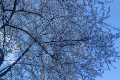 Почти 10 часов действовал режим опасности БПЛА 23 апреля на Ставрополье