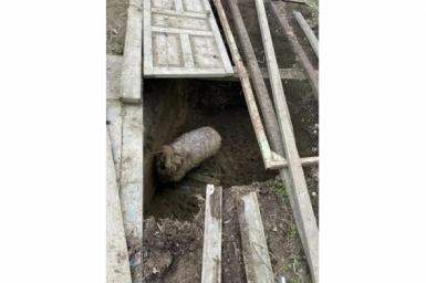 Ставропольские спасатели вызволили барана Борю, угодившего в яму