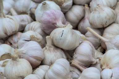 Чесноку весной - обязательно: 1 ложка в воду — и головки вырастают размером с кулак