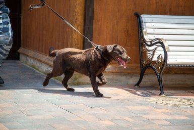 Анонимные угрозы о минировании нескольких объектов проверили в Минводах