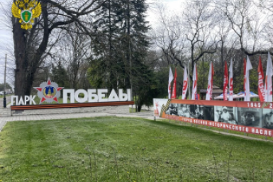 Прокуратура запретила предпринимателю рубить деревья в парке Победы Ессентуков