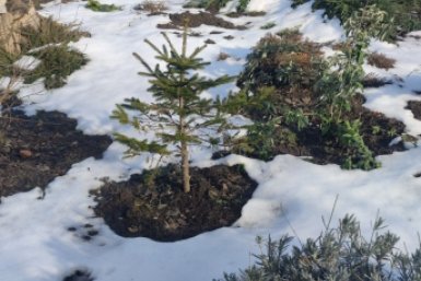 Заморозки прогнозируют на все майские выходные на Ставрополье