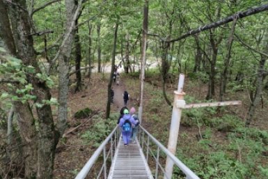 На Ставрополье переиздадут устаревшую Красную книгу по требованию прокуратуры