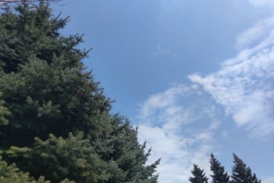 БПЛА сбили над Ставропольем 8 мая