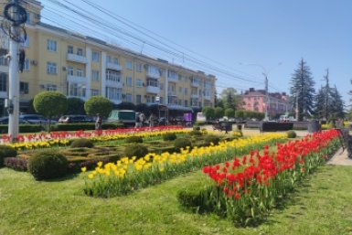 Жара и ливень с грозой: с летней погоды начнется новая неделя на Ставрополье