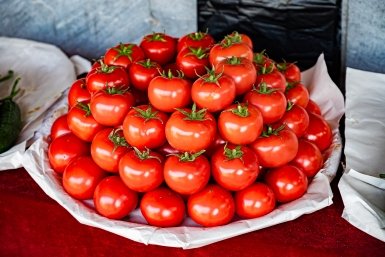 Эти томаты созреют даже у новичка: лучшие сорта без хлопот
