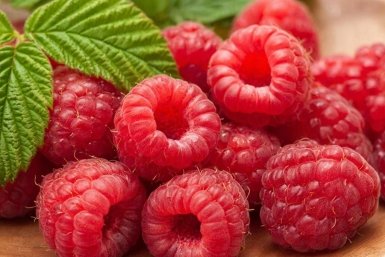 Не кислятина, а сладкий и сочный крупняк: собираю по ведру с куста - как ухаживать за малиной в мае