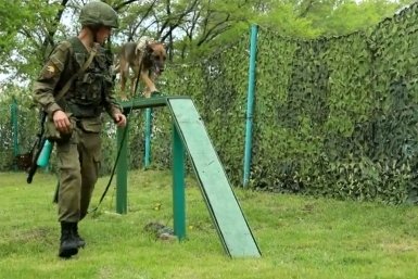 Подготовка вожатых собак минно-розыскной службы пресс-служба Восточного военного округа